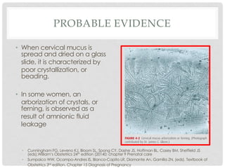 Diagnosis of pregnancy | PDF