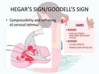 diagnosis of pregnancy presentation.pptx