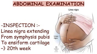 Enciform DIAGNOSIS OF PREGNANCY by LACHHAMI RATHOUR | PDF