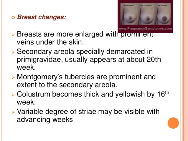 Diagnosis of pregnancy and maternal assessment