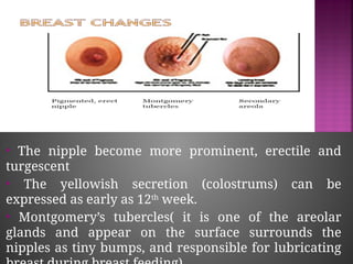 DIAGNOSIS OF PREGNANCY PPT IN ALL TRIMESTER | PPTX