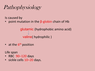 Pathophysiology
Is caused by
• point mutation in the β-globin chain of Hb
glutamic (hydrophobic amino acid)
valine( hydrophilic )
• at the 6th position
Life span
• RBC 90–120 days
• sickle cells 10–20 days.
 