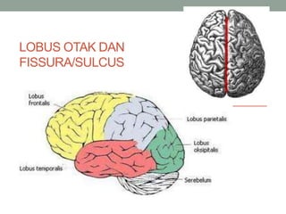 Diagnosis tumor otak | PPT