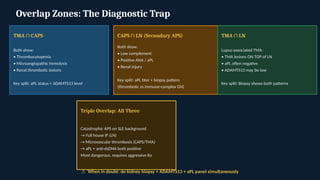 Diagnosis_Uncertainty_TMA_CAPSSS_LN.pptx