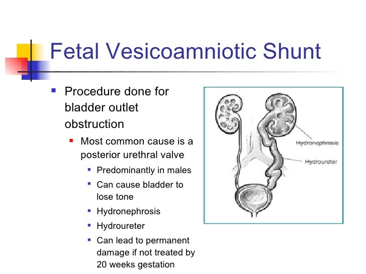 Diagnositcs day 2 review
