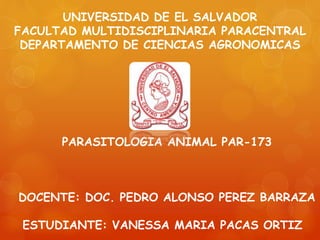UNIVERSIDAD DE EL SALVADOR
FACULTAD MULTIDISCIPLINARIA PARACENTRAL
DEPARTAMENTO DE CIENCIAS AGRONOMICAS
PARASITOLOGIA ANIMAL PAR-173
DOCENTE: DOC. PEDRO ALONSO PEREZ BARRAZA
ESTUDIANTE: VANESSA MARIA PACAS ORTIZ
 