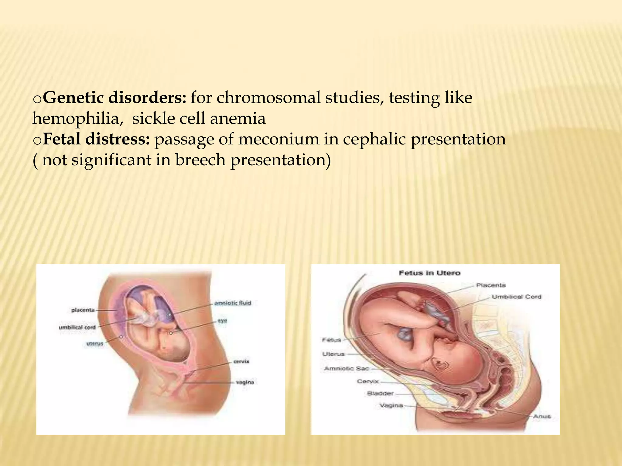 d.   Psychological  support is given to the mother/father (couple):Explain the reasons for the procedure together with its benefits and the preparations.
