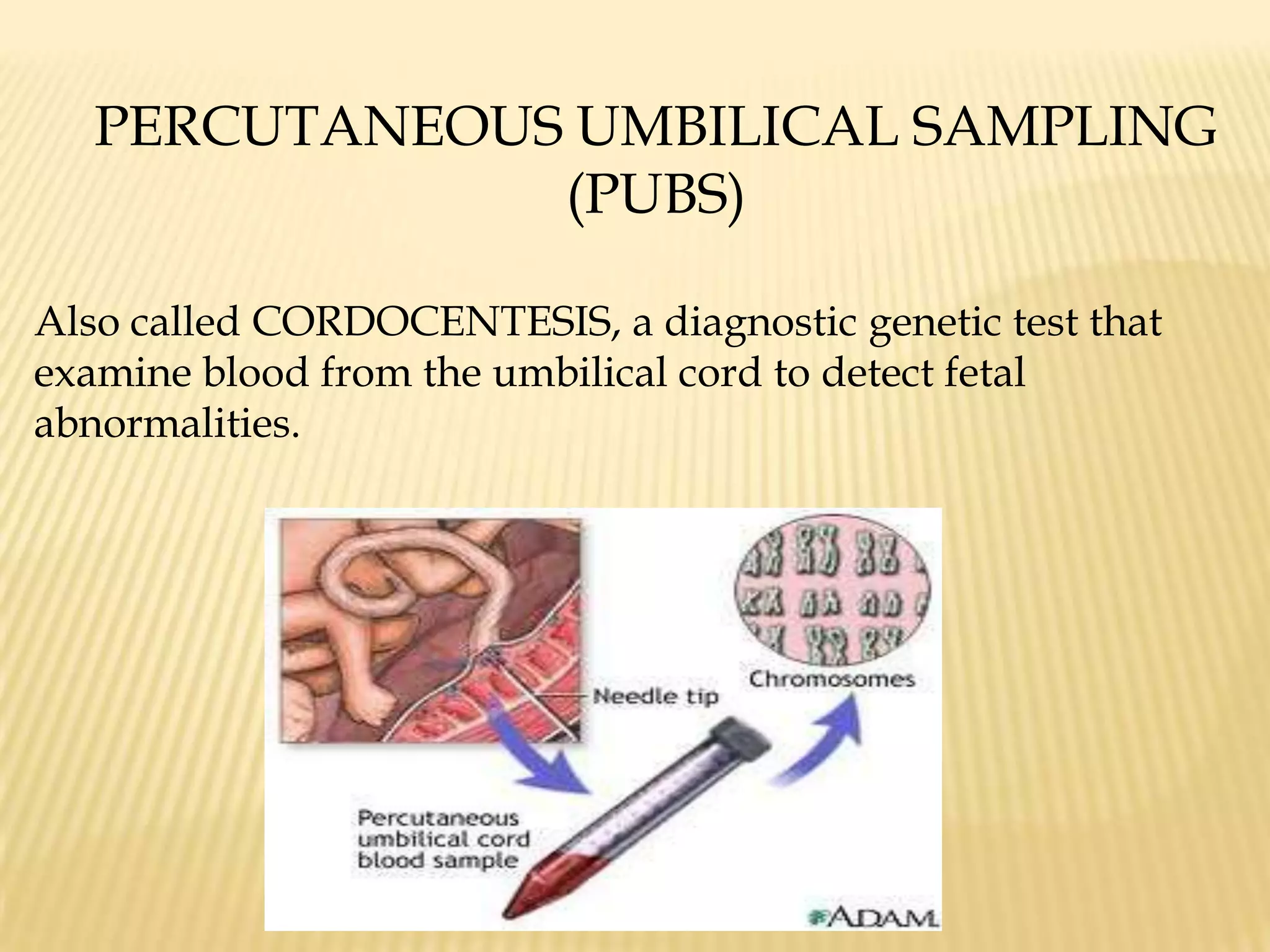  To collect blood samples from the umbilical cord