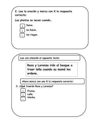 3. ¿Qué traerán Rosa y Lorenzo?
Frutas.
Leña.
Hierba.
Lee con atención el siguiente texto:
2. Lee la oración y marca con X la respuesta
correcta:
Las plantas se secan cuando…
llueve.
no llueve.
las riegan.
Plantas.
Ollas.
a
b
Ahora marca con una X la respuesta correcta:
a
b
Rosa y Lorenzo irán al bosque a
traer leña cuando su mamá les
ordene.
c
c
 