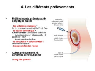 4. Les différents prélèvements Prélèvements prénataux    caryotype fœtal -  les villosités choriales  =  fin du premier trimestre (10-13+6j SA) -  le liquide amniotique  = Amniocentèse  : deuxième trimestre Amniocentèse «  classique » : à partir de 14 SA Amniocentèse tardive -  le sang fœtal = cordocentèse :  troisième trimestre -  biopsie de tendon  foetal Autres prélèvements    caryotype constitutionnel -  sang des parents 
