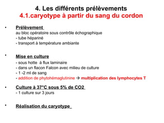 4. Les différents prélèvements  4.1.caryotype à partir du sang du cordon   Prélèvement  au bloc opératoire sous contrôle échographique  - tube hépariné  - transport à température ambiante Mise en culture   - sous hotte  à flux laminaire - dans un flacon Falcon avec milieu de culture - 1 -2 ml de sang  -  addition de phytohémaglutinine      multiplication des lymphocytes T Culture à 37°C sous 5% de CO2  - 1 culture sur 3 jours Réalisation du caryotype   