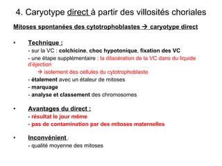 4. Caryotype  direct  à partir des villosités choriales Mitoses spontanées des cytotrophoblastes    caryotype direct Technique : - sur la VC :  colchicine ,  choc hypotonique ,  fixation des VC - une étape supplémentaire :  la   dilacération de la VC dans du liquide d’éjection      isolement des cellules   du cytotrophoblaste -  étalement  avec un étaleur de mitoses -  marquage   -  analyse et classement  des chromosomes Avantages du direct : -  résultat le jour même -  pas de contamination par des mitoses maternelles Inconvénient   : - qualité moyenne des mitoses 