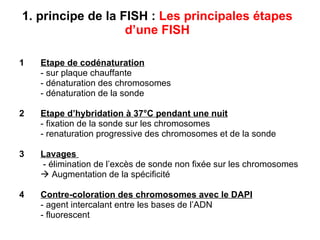 1. principe de la FISH :   Les principales étapes d’une FISH 1 Etape de codénaturation - sur plaque chauffante  - dénaturation des chromosomes - dénaturation de la sonde 2 Etape d’hybridation à 37°C pendant une nuit   - fixation de la sonde sur les chromosomes - renaturation progressive des chromosomes et de la sonde 3 Lavages     - élimination de l’excès de sonde non fixée sur les chromosomes    Augmentation de la spécificité 4 Contre-coloration des chromosomes avec le DAPI - agent intercalant entre les bases de l’ADN  - fluorescent 