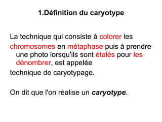 1.Définition du caryotype La technique qui consiste à  colorer  les chromosomes  en  métaphase  puis à prendre une photo lorsqu'ils sont  étalés  pour  les dénombrer , est appelée  technique de caryotypage.  On dit que l'on réalise un  caryotype . 
