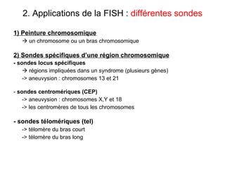 2. Applications de la FISH :  différentes sondes 1) Peinture chromosomique    un chromosome ou un bras chromosomique 2) Sondes spécifiques d’une région chromosomique - sondes locus spécifiques      régions impliquées dans un syndrome (plusieurs gènes) -> aneuvysion : chromosomes 13 et 21 -  sondes centromériques (CEP)   -> aneuvysion : chromosomes X,Y et 18 -> les centromères de tous les chromosomes - sondes télomériques (tel) -> télomère du bras court -> télomère du bras long 