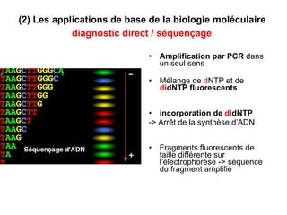 (2) Les applications de base de la biologie moléculaire  diagnostic direct   / séquençage   Amplification par PCR  dans un seul sens Mélange de  d NTP et de  di dNTP fluorescents incorporation de  di dNTP   -> Arrêt de la synthèse d’ADN Fragments fluorescents de taille différente sur l’électrophorèse -> séquence du fragment amplifié 