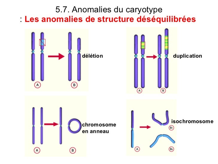 Les Liens De Lanneau Scan