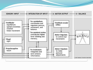 Vestibular Algorithm Chart Diagnostic approaches to vestibular disorders.pptx