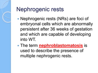 Diagnostic approach to pediatric malignant small round cell | PPTX