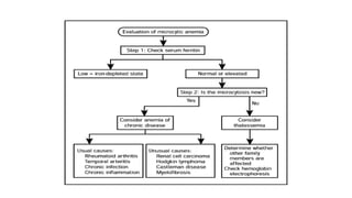 Comprehensive Diagnostic Approach to Microcytic Anemia: Blood Tests ...