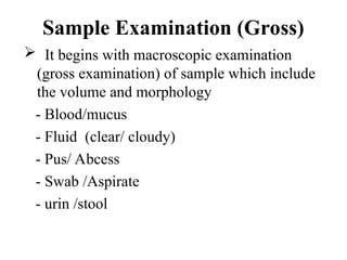 Sample Examination (Gross)
 It begins with macroscopic examination
(gross examination) of sample which include
the volume and morphology
- Blood/mucus
- Fluid (clear/ cloudy)
- Pus/ Abcess
- Swab /Aspirate
- urin /stool
 