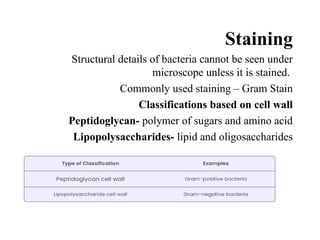Staining
Structural details of bacteria cannot be seen under
microscope unless it is stained.
Commonly used staining – Gram Stain
Classifications based on cell wall
Peptidoglycan- polymer of sugars and amino acid
Lipopolysaccharides- lipid and oligosaccharides
 