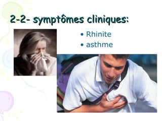 2-2- symptômes cliniques:
              • Rhinite
              • asthme
 