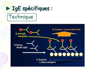 ► IgE spécifiques :
 