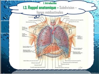 I. Introduction
1.3. Rappel anatomique – Subdivision –
          lignes médiastinales
 