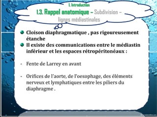 I. Introduction
       1.3. Rappel anatomique – Subdivision –
                 lignes médiastinales

  Cloison diaphragmatique , pas rigoureusement
  étanche
  Il existe des communications entre le médiastin
  inférieur et les espaces rétropéritonéaux :

- Fente de Larrey en avant

- Orifices de l'aorte, de l‘oesophage, des éléments
  nerveux et lymphatiques entre les piliers du
  diaphragme .
 