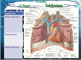 I. Introduction
         1.3. Rappel anatomique – Subdivisions
Contenu du médiastin par
subdivision antérieur
médiastin                Moyen                       postérieur
            - Thymus,             - Trachée
              thyroide
            - les troncs          - Chaines
              veineux               ganglionnaires
            - le plan artériel
            - récurrent
              gauche
            la naissance des      - Pédicules P.
            gros troncs
            vasculaires de la     - Chaines
            base du coeur           ganglionnaires

            - masse               - Chaines
              cardiaque             ganglionnaires
            - péricarde
 
