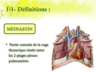 1-1- Définitions :


MÉDIASTIN


  Partie centrale de la cage
 thoracique située entre
 les 2 plages pleuro
 pulmonaires.
 