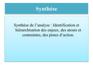 Synthèse
Synthèse de l’analyse : Identification et
hiérarchisation des enjeux, des atouts et
contraintes, des pistes d’action.
 