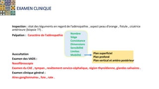 EXAMEN CLINIQUE
Inspection : état des téguments en regard de l’adénopathie , aspect peau d’orange , fistule , cicatrice
antérieure (biopsie ??) .
Palpation : Caractère de l’adénopathie
Auscultation
Examen des VADS :
Nasofibroscopie
Examen du CAE , tympan , revêtement cervico-céphalique, région thyroïdienne, glandes salivaires .
Examen clinique général :
Aires ganglionnaires , foie , rate .
Nombre
Siège
Consistance
Dimensions
Sensibilité
Limites
Mobilité
Plan superficiel
Plan profond
Plan vertical et antéro postérieur
 