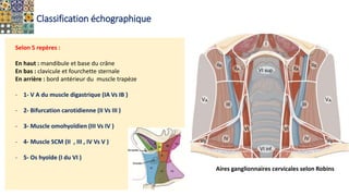 Classification échographique
Aires ganglionnaires cervicales selon Robins
Selon 5 repères :
En haut : mandibule et base du crâne
En bas : clavicule et fourchette sternale
En arrière : bord antérieur du muscle trapèze
- 1- V A du muscle digastrique (IA Vs IB )
- 2- Bifurcation carotidienne (II Vs III )
- 3- Muscle omohyoïdien (III Vs IV )
- 4- Muscle SCM (II , III , IV Vs V )
- 5- Os hyoïde (I du VI )
 