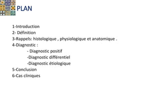 PLAN
1-Introduction
2- Définition
3-Rappels: histologique , physiologique et anatomique .
4-Diagnostic :
- Diagnostic positif
-Diagnostic différentiel
-Diagnostic étiologique
5-Conclusion
6-Cas cliniques
 