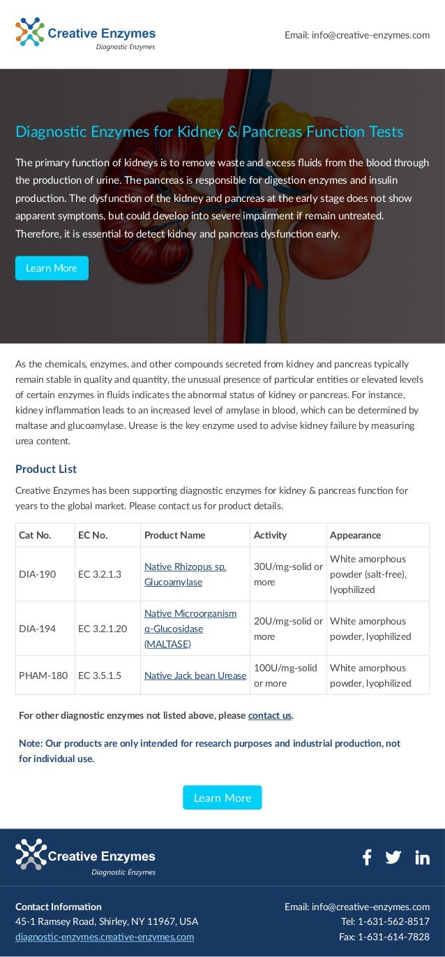 Diagnostic Enzymes for Kidney & Pancreas Function Tests
