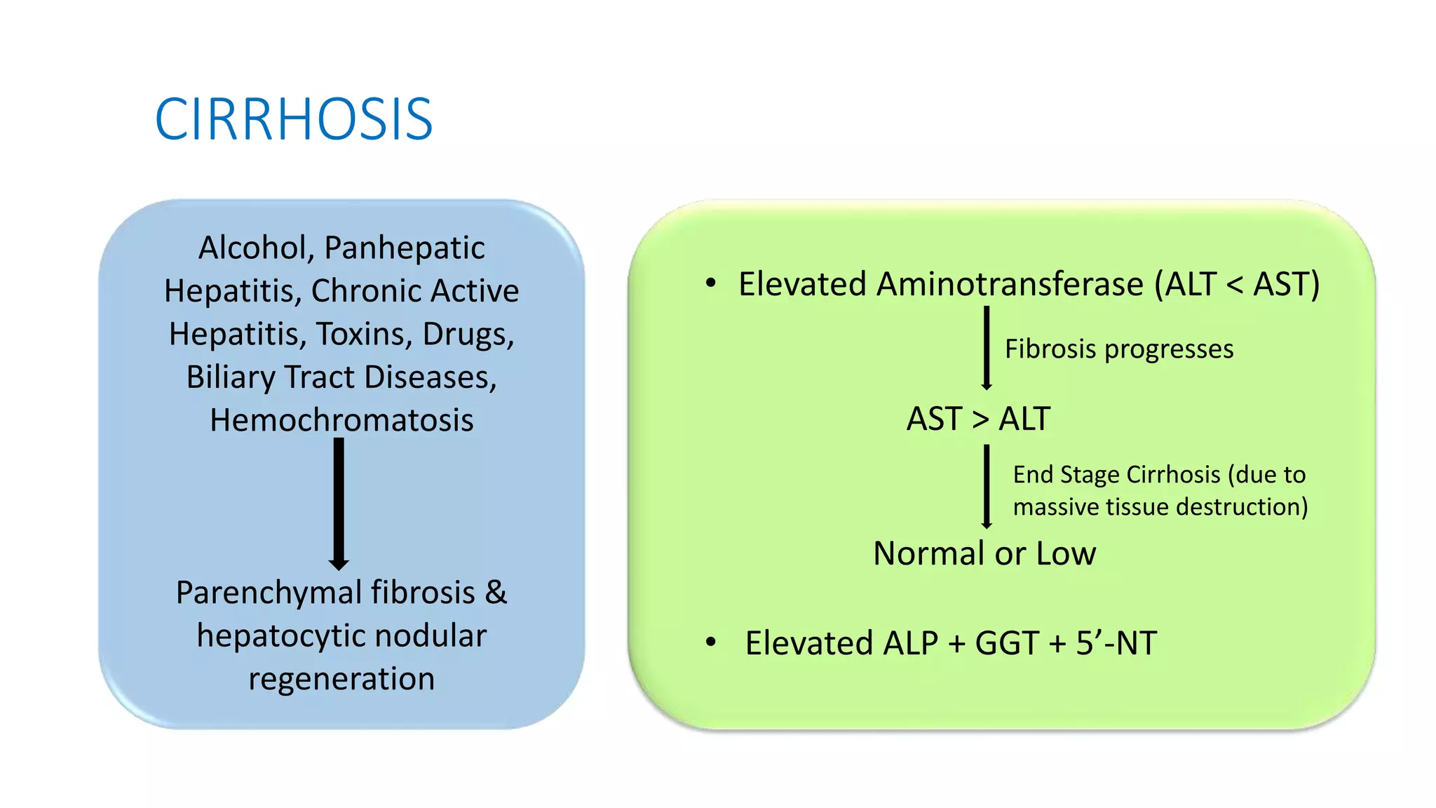 ROLE OF LIVER ENZYMES IN DIAGNOSTIC PATHOLOGY | PPTX