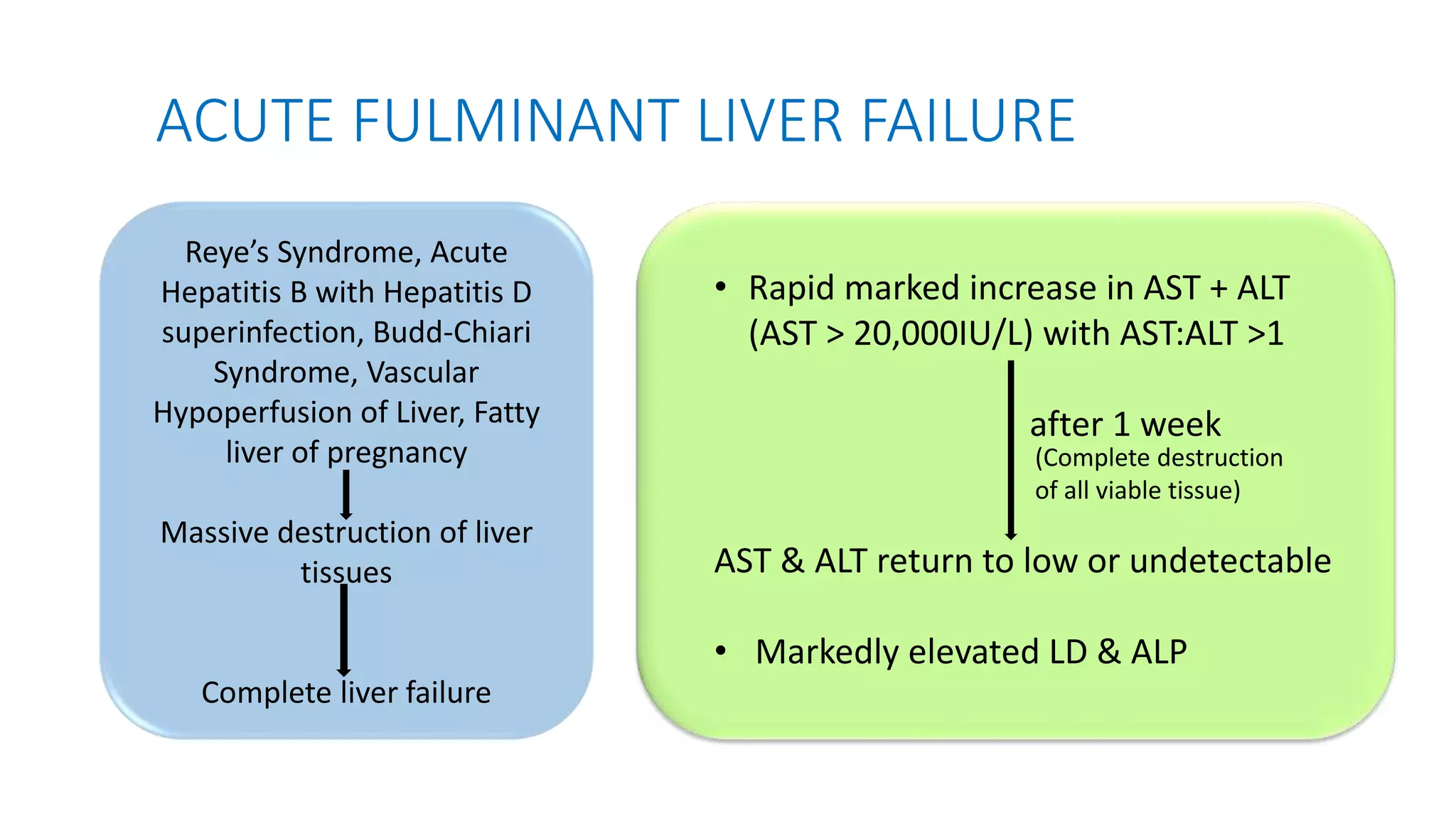 ROLE OF LIVER ENZYMES IN DIAGNOSTIC PATHOLOGY | PPTX