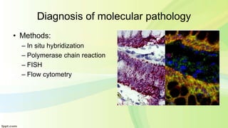 diagnostic evaluation for malignent disease.pptx