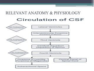 RELEVANT ANATOMY & PHYSIOLOGY
 