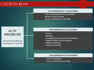 L’ACTIF DU BILAN
- Frais de développement et de prospection
- Brevets, licences, logiciels
- Autres immobilisations incorporelles
Immobilisations incorporelles
Immobilisations corporelles
-Terrains
- Bâtiments
- Aménagements, agencements et installations
- Matériel, Mobilier et actifs biologique
- Matériel de transport
- Avances et Acomptes
- Titres de participation,
- Autres immobilisations financières
ACTIF
IMMOBILISÉ
(moyens de production
nécessaires à l’activité)
Immobilisations financières
 