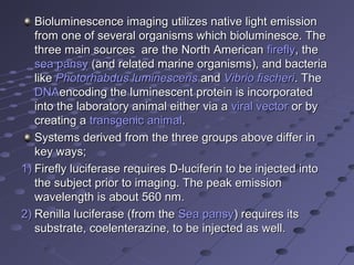 Bioluminescence imaging utilizes native light emissionBioluminescence imaging utilizes native light emission
from one of several organisms which bioluminesce. Thefrom one of several organisms which bioluminesce. The
three main sources are the North Americanthree main sources are the North American fireflyfirefly, the, the
sea pansysea pansy (and related marine organisms), and bacteria(and related marine organisms), and bacteria
likelike Photorhabdus luminescensPhotorhabdus luminescens andand Vibrio fischeriVibrio fischeri. The. The
DNADNAencoding the luminescent protein is incorporatedencoding the luminescent protein is incorporated
into the laboratory animal either via ainto the laboratory animal either via a viral vectorviral vector or byor by
creating acreating a transgenic animaltransgenic animal..
Systems derived from the three groups above differ inSystems derived from the three groups above differ in
key ways;key ways;
1)1) Firefly luciferase requires D-luciferin to be injected intoFirefly luciferase requires D-luciferin to be injected into
the subject prior to imaging. The peak emissionthe subject prior to imaging. The peak emission
wavelength is about 560 nm.wavelength is about 560 nm.
2)2) Renilla luciferase (from theRenilla luciferase (from the Sea pansySea pansy) requires its) requires its
substrate, coelenterazine, to be injected as well.substrate, coelenterazine, to be injected as well.
 
