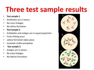 Diagnostic immunology presentation | PPTX