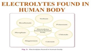 Diagnostic Blood Testing Procedures   and comprehensive