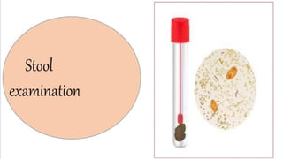 Diagnostic Blood Testing Procedures   and comprehensive