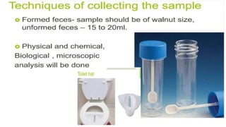 Diagnostic Blood Testing Procedures   and comprehensive