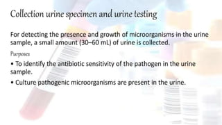 Diagnostic Blood Testing Procedures   and comprehensive
