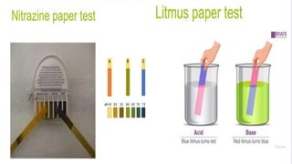 Diagnostic Blood Testing Procedures   and comprehensive