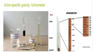 Diagnostic Blood Testing Procedures   and comprehensive